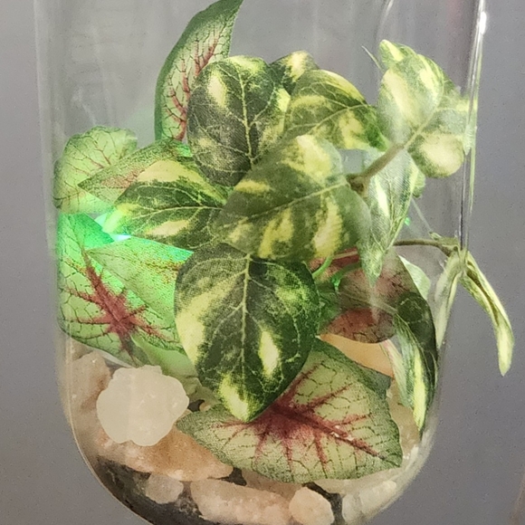 Light up hanging plant under glass - Picture 7 of 7